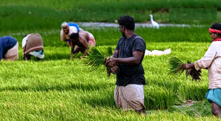 Farmer Suicides India: किन वजहों से सबसे ज्यादा आत्महत्या करते हैं किसान, किस राज्य में सबसे ज्यादा? Farmer Suicides India: किन वजहों से सबसे ज्यादा आत्महत्या करते हैं किसान, किस राज्य में सबसे ज्यादा?