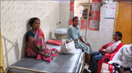 करैत सांप के डसने से डेढ़ साल की बच्ची की मौत, मां का इलाज जारी… करैत सांप के डसने से डेढ़ साल की बच्ची की मौत, मां का इलाज जारी…