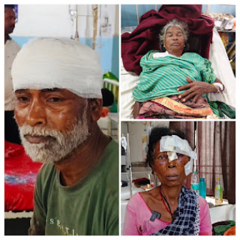 धमतरी: तेंदुए का आतंक, कारीपानी में दो महिलाओं समेत तीन ग्रामीण घायल; दो जिला अस्पताल रेफर…