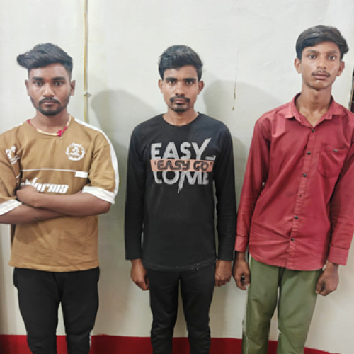 गौवंश तस्करी पर धमतरी पुलिस की बड़ी कार्रवाई: 4 मवेशी मुक्त, 3 आरोपी गिरफ्तार…