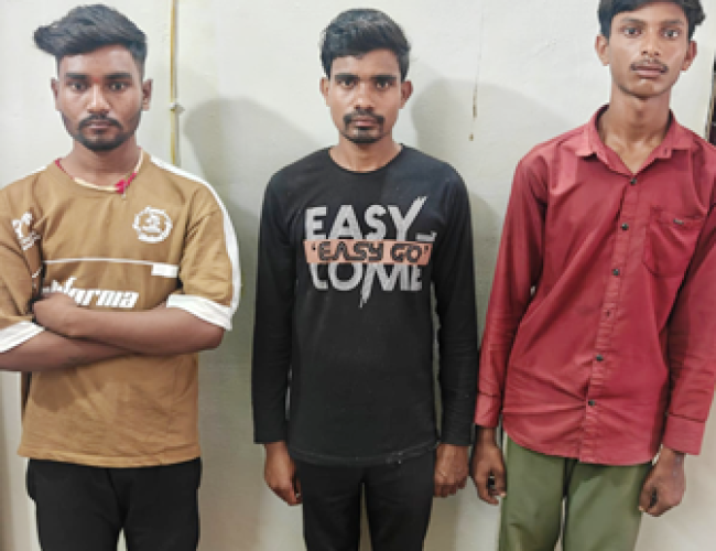 गौवंश तस्करी पर धमतरी पुलिस की बड़ी कार्रवाई: 4 मवेशी मुक्त, 3 आरोपी गिरफ्तार…