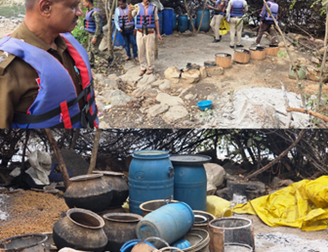 गंगरेल के ठेमली टापू में अवैध महुआ शराब निर्माण पर संयुक्त पुलिस कार्रवाई, 1000 लीटर लाहन नष्ट…