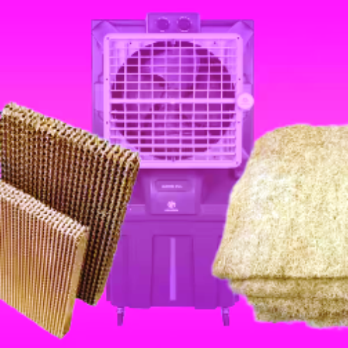 कूलर में कौन-सी जाली देगी AC जैसी कूलिंग? ये बातें जान लीं तो गर्मी में मिलेगा सर्दी जैसा मजा…