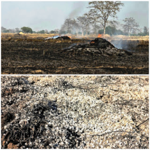 खेतों में भीषण आग से 40-50 एकड़ फसल प्रभावित, किसानों की महीनों की मेहनत राख…