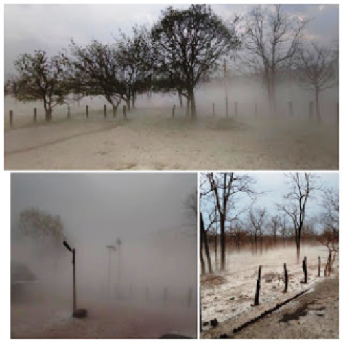 ओलावृष्टि से उदंती सीतानदी अभ्यारण्य में बिछी सफेद चादर, कश्मीर जैसा दिखा नजारा…