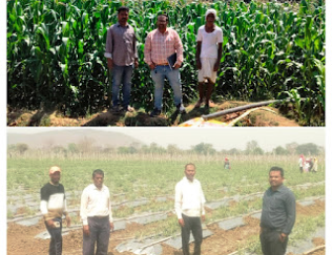 धमतरी में अफीम खेती के आरोपों के बाद प्रशासन अलर्ट, सर्वे में नहीं मिला कोई मामला…