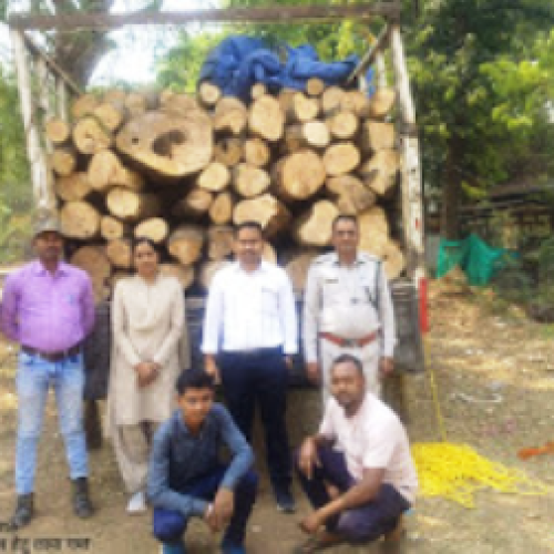 धमतरी में वन विभाग की बड़ी कार्रवाई: अवैध आम लकड़ी से भरा ट्रक जब्त, चालक के पास नहीं थे दस्तावेज…