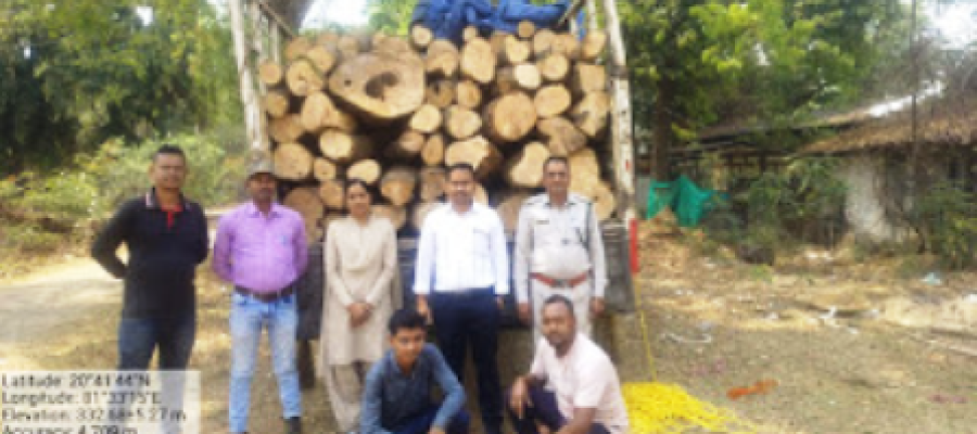 धमतरी में वन विभाग की बड़ी कार्रवाई: अवैध आम लकड़ी से भरा ट्रक जब्त, चालक के पास नहीं थे दस्तावेज…