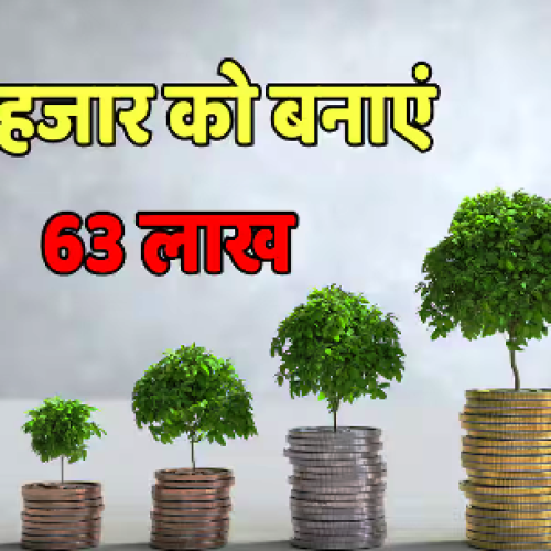 ₹10000 की SIP और ₹63 लाख का फंड, इस कंज्यूमर फंड ने निवेशकों को कर दिया मालामाल…