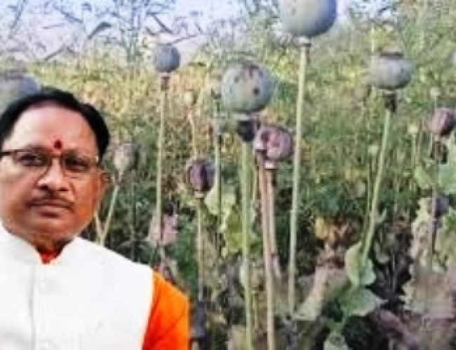छत्तीसगढ़ में अवैध अफीम की खेती पर सख्त हुए मुख्यमंत्री विष्णु देव साय, दोषियों पर कड़ी कार्रवाई के निर्देश….