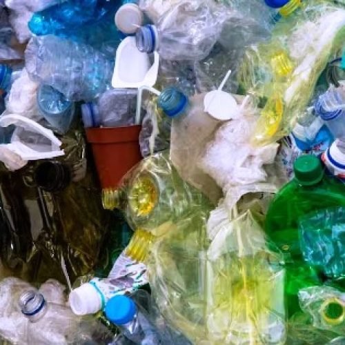 कैसे कम कर सकते हैं प्लास्टिक का इस्तेमाल, जानें किन-किन खतरों से बचेंगे आप?