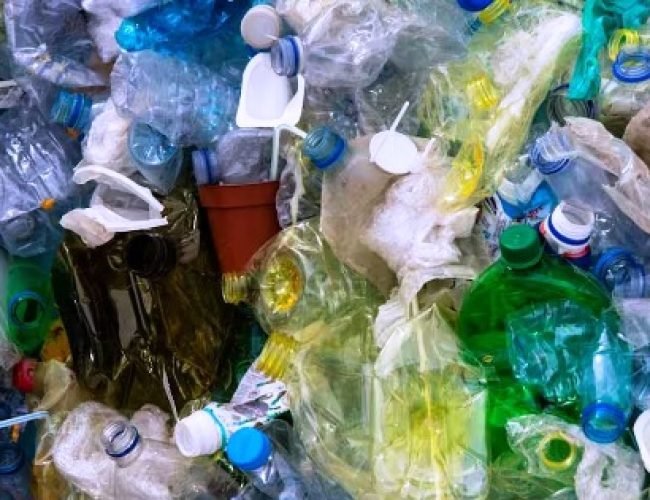 कैसे कम कर सकते हैं प्लास्टिक का इस्तेमाल, जानें किन-किन खतरों से बचेंगे आप?