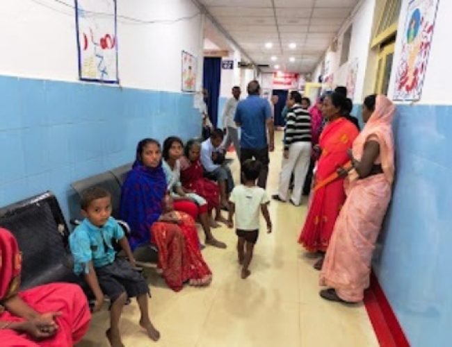 कुत्ते के हमले से गांव में दहशत, 7 घायल जिला अस्पताल में भर्ती…