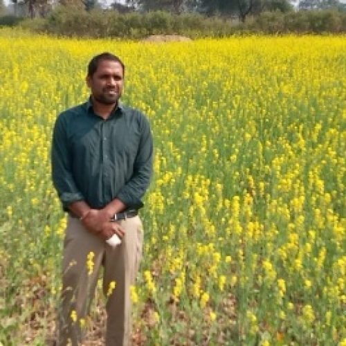 धान से आगे बढ़ा धमतरी: फसलचक्र परिवर्तन से जल संरक्षण और कृषि समृद्धि की नई कहानी….