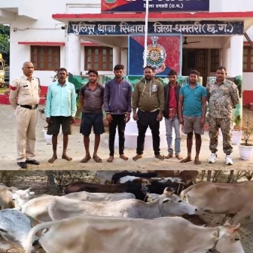 अवैध गौ-तस्करी करते 6 आरोपी गिरफ्तार, 16 गौवंश सुरक्षित…