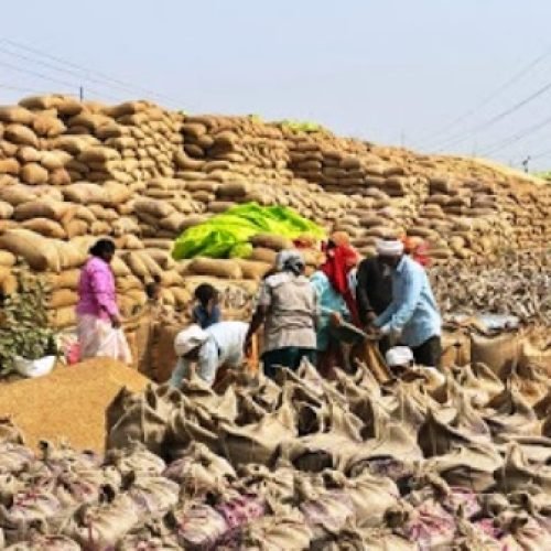 धमतरी ने रचा कीर्तिमान, धान खरीदी में प्रदेश में पहला स्थान…