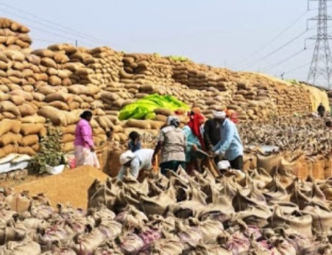 धमतरी ने रचा कीर्तिमान, धान खरीदी में प्रदेश में पहला स्थान…