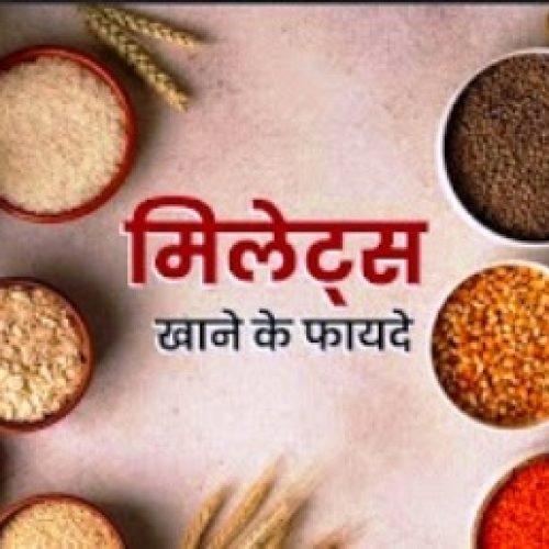 कलेक्टर की अभिनव पहल: धमतरी में पहली बार मिलेट्स महोत्सव, श्रीअन्न को मिलेगा नया मंच….