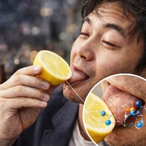 Lemon Hangover: नींबू चाटते ही आखिर कैसे उतर जाता है नशा, जानें क्या है इसके पीछे का विज्ञान….