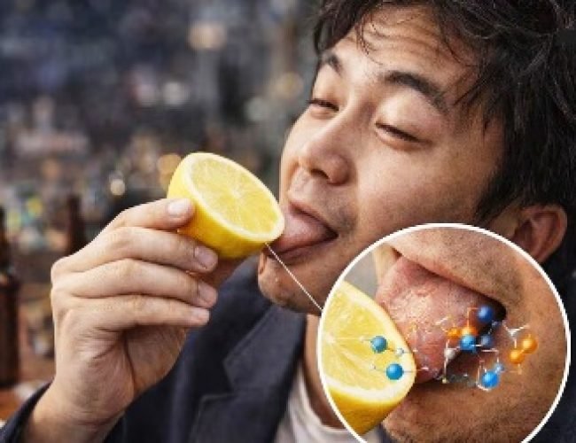Lemon Hangover: नींबू चाटते ही आखिर कैसे उतर जाता है नशा, जानें क्या है इसके पीछे का विज्ञान….