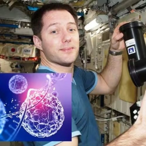 क्या सच में स्पेस स्टेशन पर मिनटों में हो सकता है कैंसर का इलाज, इस देश ने बना ली वैक्सीन?