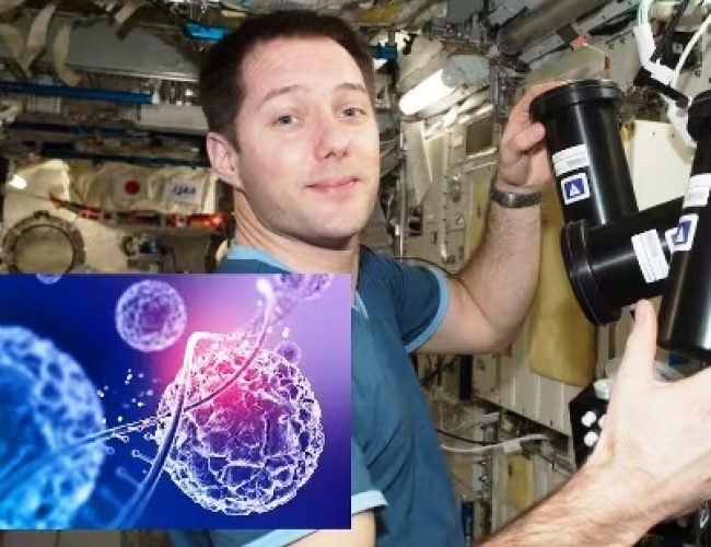 क्या सच में स्पेस स्टेशन पर मिनटों में हो सकता है कैंसर का इलाज, इस देश ने बना ली वैक्सीन?