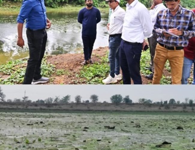 बिहार के बाद धमतरी बनेगा मखाना हब: 200 एकड़ में फैलेगा उत्पादन, “धनहा धमतरी” से मिलेगी राष्ट्रीय पहचान…