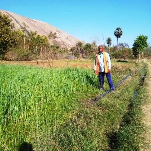 जशपुर-किसान सुखसाय रबी और खरीफ की फसल का ले रहे लाभ सौर सुजला योजना और शाकम्बरी योजना का भी मिल रहा है लाभ…