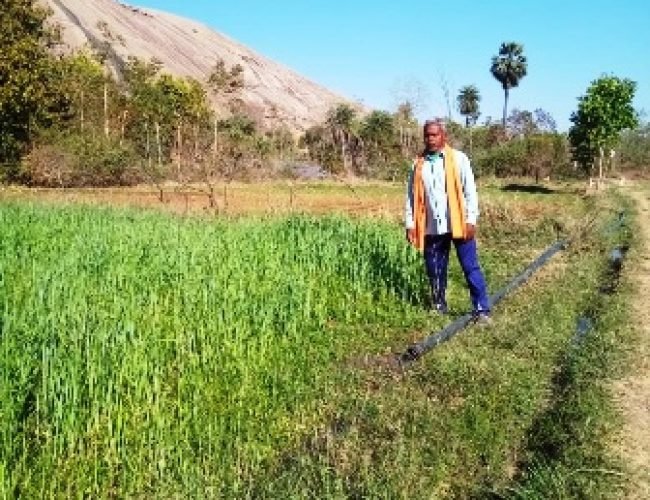 जशपुर-किसान सुखसाय रबी और खरीफ की फसल का ले रहे लाभ सौर सुजला योजना और शाकम्बरी योजना का भी मिल रहा है लाभ…