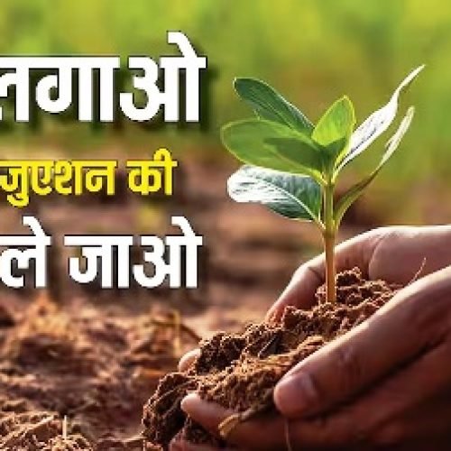 ग्रेजुएशन की डिग्री चाहिए तो यहां लगा दें 10 पेड़, सरकार ने खुद बनाया यह है नियम…