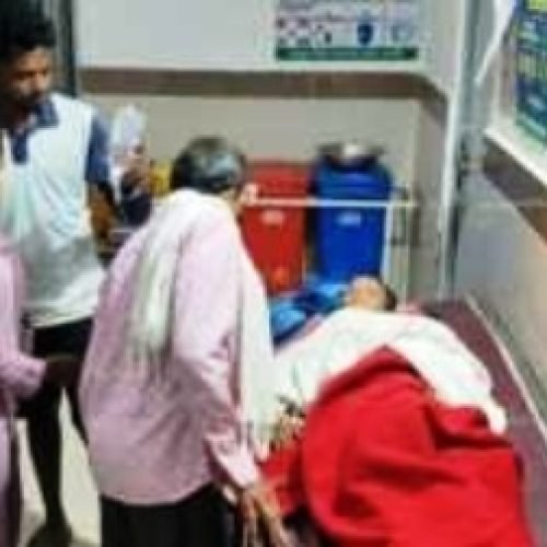 मासूम पर कुत्तों का कहर: खेल रही 9 साल की बच्ची को नोच डाला, 25 टांके आए, गांव में दहशत…