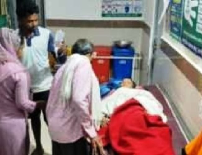 मासूम पर कुत्तों का कहर: खेल रही 9 साल की बच्ची को नोच डाला, 25 टांके आए, गांव में दहशत…