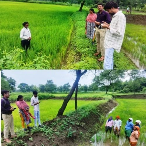 किसानों की समृद्धि की ओर बड़ा कदम — धमतरी में शुरू हुआ डिजिटल क्रॉप सर्वे…