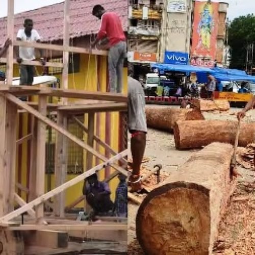 बस्तर दशहरा: 600 साल पुरानी परंपरा पर संकट, क्या जंगल बचाने के लिए रुकेगा विशाल रथ का निर्माण?
