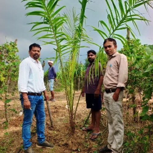 किसानों के आर्थिक स्वावलंबन की दिशा में बड़ा कदम…