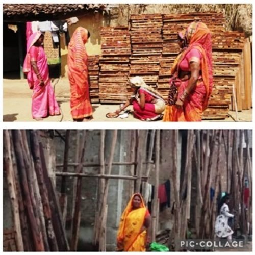 साझी मेहनत, साझा समृद्धि — ‘बिहान’ से बदल रहा ग्रामीण महिला जीवन…