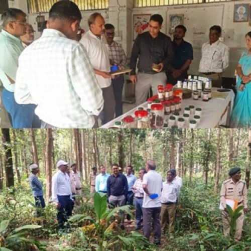 महाराष्ट्र से आए IFS अधिकारियों ने किया धमतरी का अध्ययन भ्रमण…