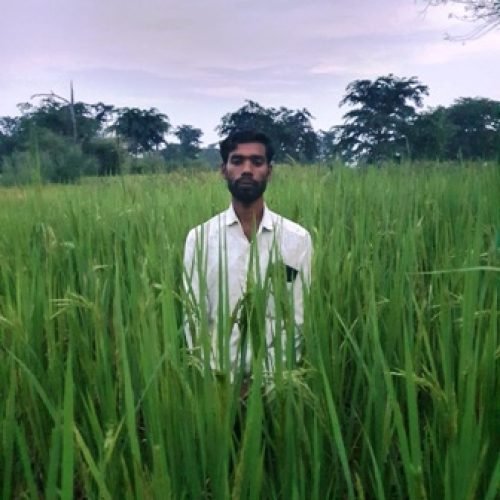 धमतरी के कृषक थानेंद्र साहू को मिलेगा राज्य स्तरीय ‘डॉ. खूबचंद बघेल पुरस्कार’ …