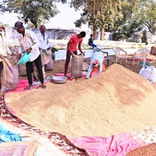 15 नवंबर से समर्थन मूल्य पर धान खरीदी शुरू: धमतरी में तैयारी पूरी, कलेक्टर ने केंद्रों का किया निरीक्षण…