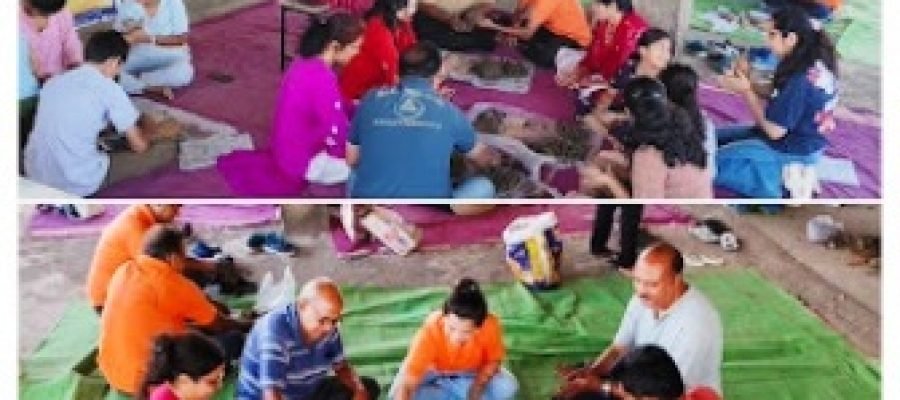 मजगहन हाई स्कूल में सीड बॉल निर्माण एवं प्रशिक्षण कार्यशाला आयोजित, पर्यावरण संरक्षण का लिया संकल्प…