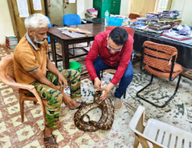 घायल भारतीय अजगर का सफल रेस्क्यू, रायपुर जंगल सफारी में विशेषज्ञों की निगरानी में उपचार जारी….