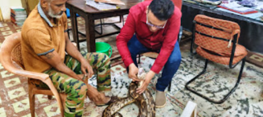 घायल भारतीय अजगर का सफल रेस्क्यू, रायपुर जंगल सफारी में विशेषज्ञों की निगरानी में उपचार जारी….