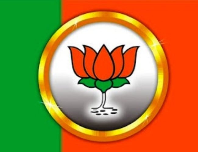 भाजपा ने 13 मंडलों के प्रभारी-सहप्रभारियों की घोषणा की, संगठन को बूथ स्तर तक मजबूत बनाने पर जोर…