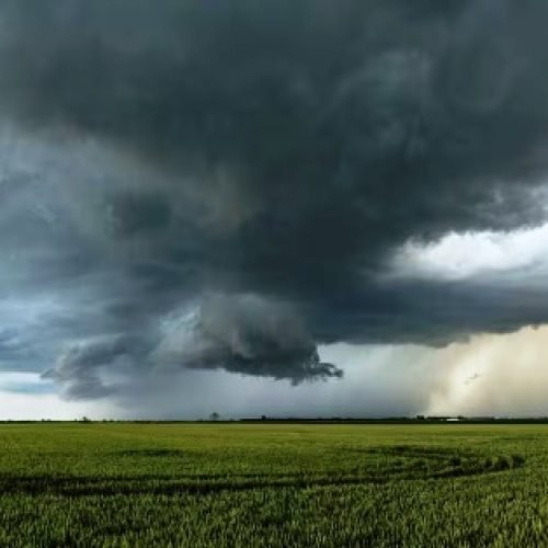 Weather Alert in India: आज से इन राज्यों में परेशान करेगी आंधी-बारिश, तुरंत अलर्ट हो जाएं किसान भाई…