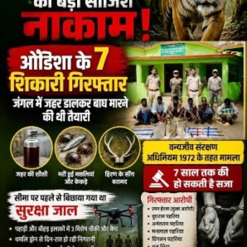 उदंती सीतानदी टाइगर रिजर्व में बाघ शिकार की बड़ी साजिश नाकाम, ओडिशा के 7 शिकारी गिरफ्तार…