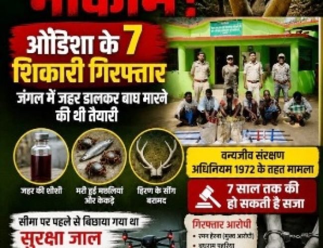 उदंती सीतानदी टाइगर रिजर्व में बाघ शिकार की बड़ी साजिश नाकाम, ओडिशा के 7 शिकारी गिरफ्तार…
