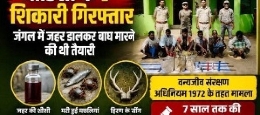 उदंती सीतानदी टाइगर रिजर्व में बाघ शिकार की बड़ी साजिश नाकाम, ओडिशा के 7 शिकारी गिरफ्तार…
