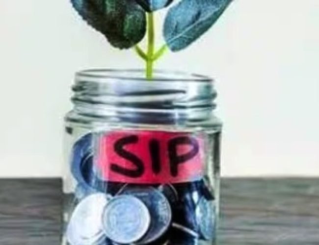 लॉन्ग टर्म SIP कैलकुलेशन; 1000 से 3000 रुपये तक निवेश पर संभावित रिटर्न का पूरा हिसाब, जानें डिटेल…