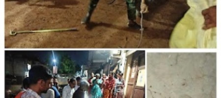 मोटरसाइकिल में छिपा मिला जहरीला गेहुंआ नाग, रेस्क्यू के दौरान मचा हड़कंप…