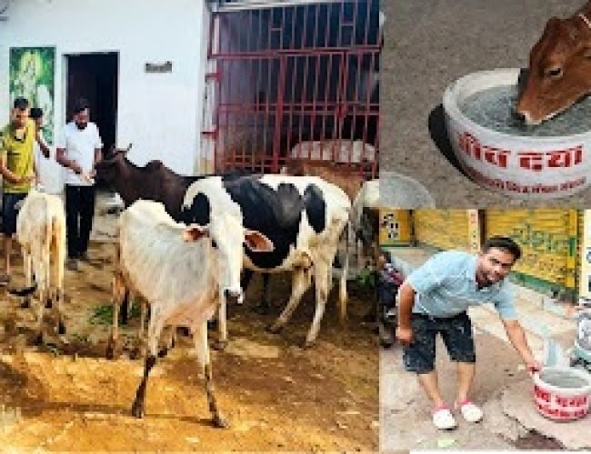 6 वर्षों से जीवदया और गौसेवा में जुटे युवा, हर रविवार मूक पशुओं की कर रहे सेवा…